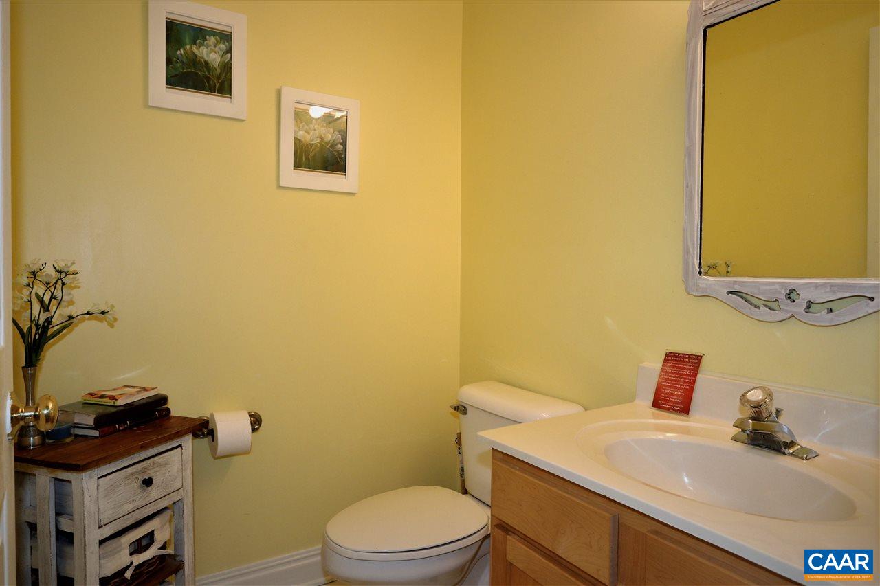 119 Riverside Drive Palmyra, VA 22963 - Photo 22 of 49 Gallery Image 22