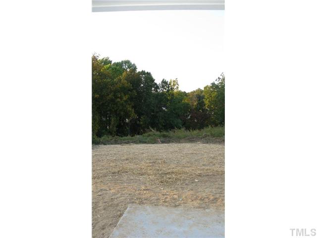 6527 Horseback Lane Raleigh, NC 27610 - Photo 3 of 16 nice privacy in rear yard