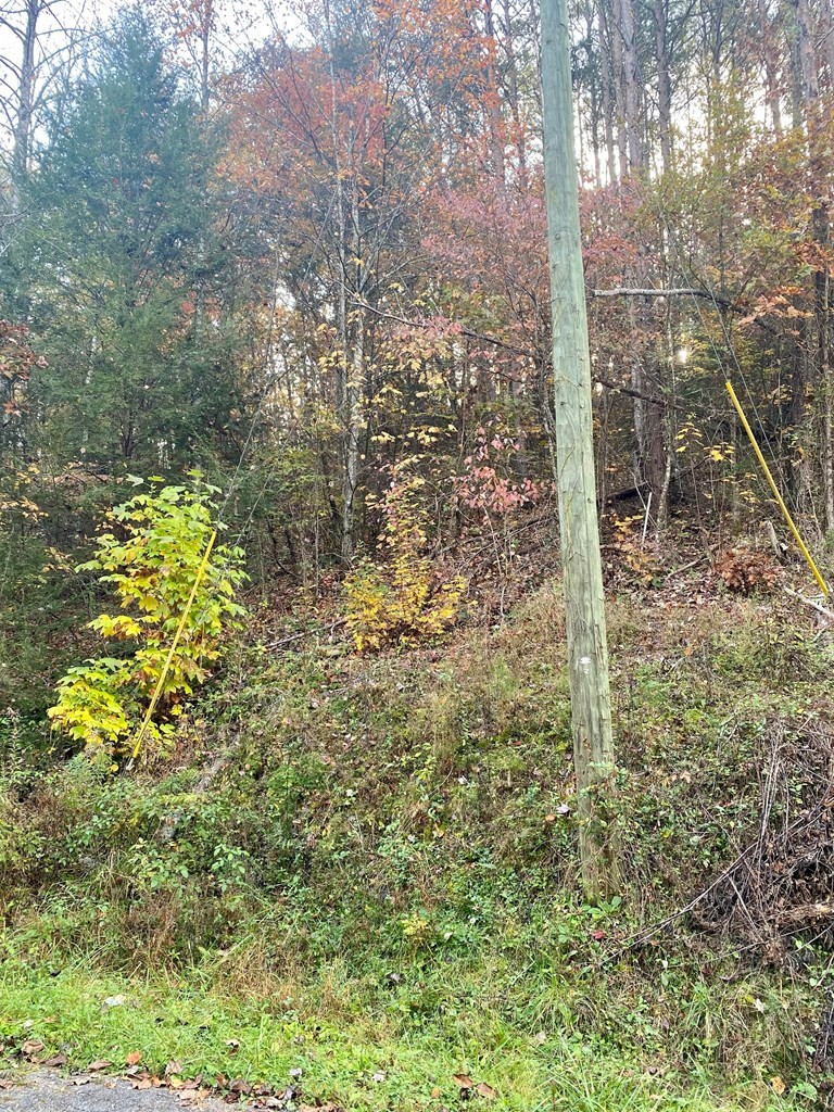 0 Maples Branch Road Sevierville, TN 37876 - Photo 7 of 9