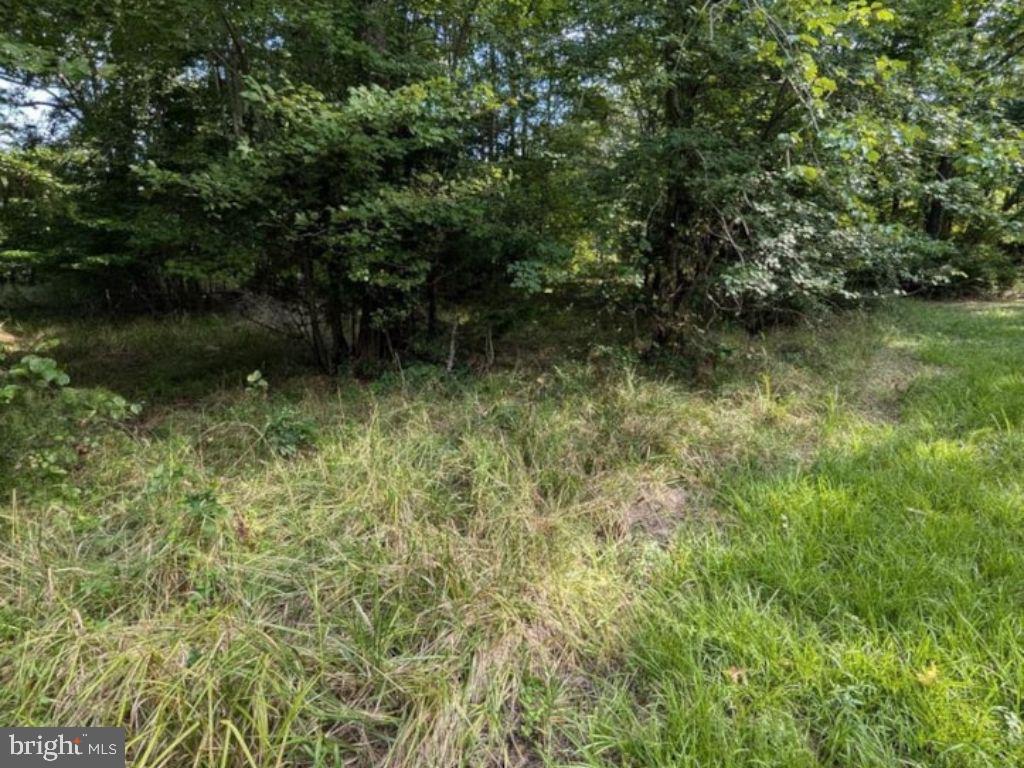 36810 Bushwood Road Bushwood, MD 20618 - Photo 2 of 8 a view of a lake view
