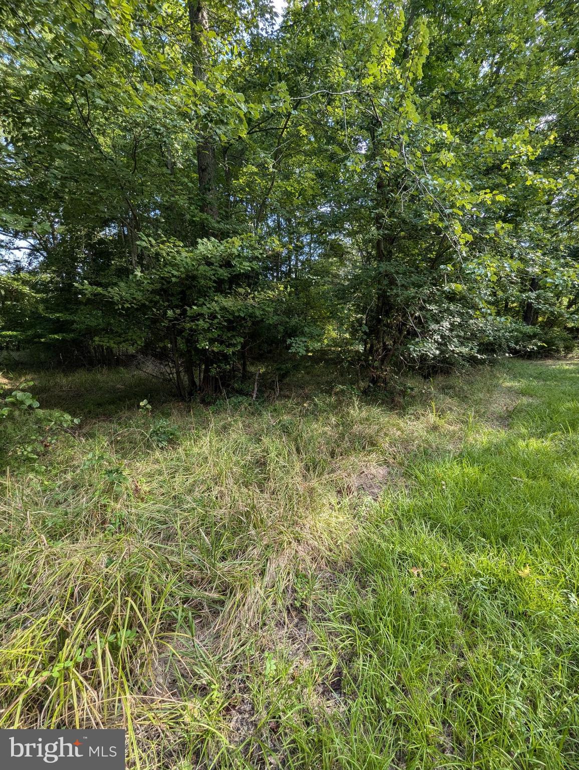 36810 Bushwood Road Bushwood, MD 20618 - Photo 3 of 8 a view of a garden