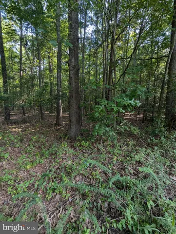 a big yard with lots of green space and house