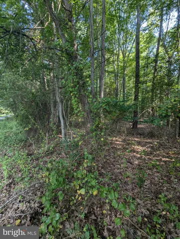 a big yard with lots of green space and deers