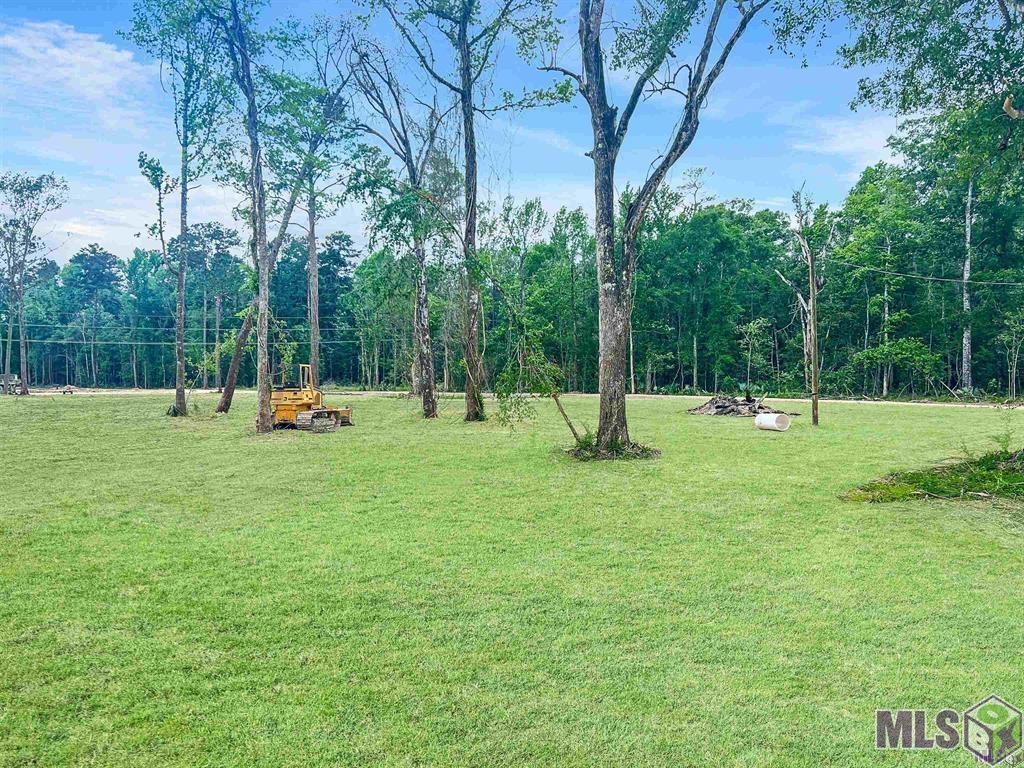 Ek-6 Springfield Road Walker, LA 70785 - Photo 2 of 4