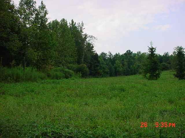 3 Bailey Mill Road Travelers Rest, SC 29690 - Photo 1 of 9 Gallery Image 1