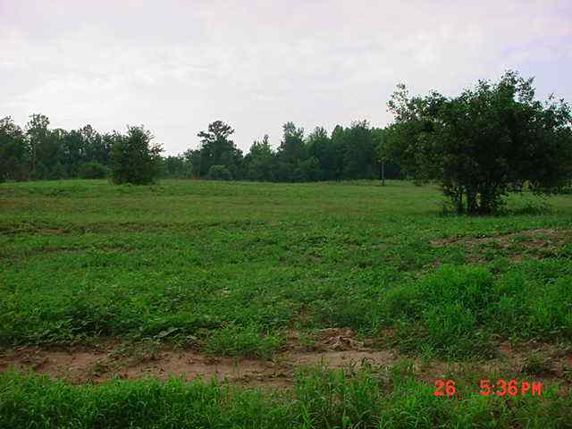 3 Bailey Mill Road Travelers Rest, SC 29690 - Photo 2 of 9 Gallery Image 2