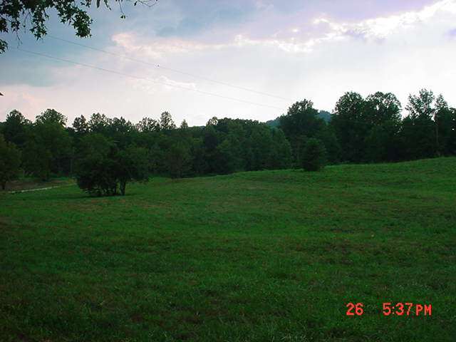 3 Bailey Mill Road Travelers Rest, SC 29690 - Photo 7 of 9 Gallery Image 7