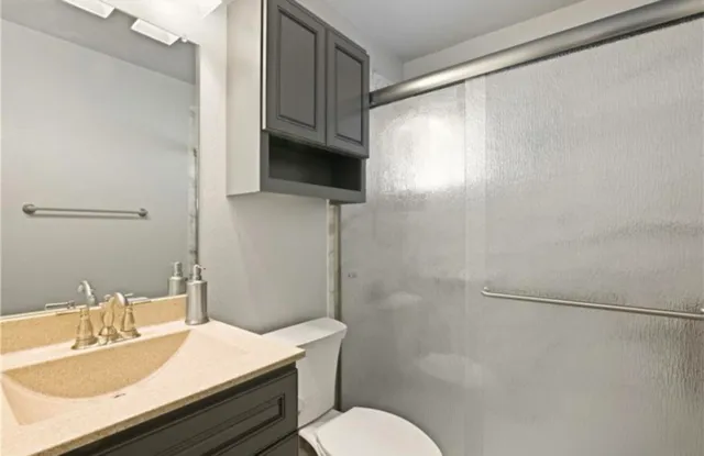 a bathroom with a sink toilet vanity and shower