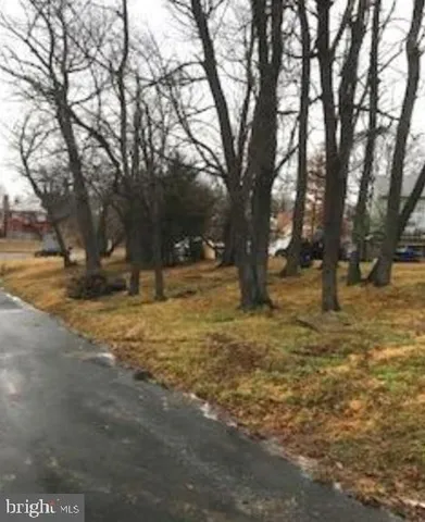 a view of outdoor space with trees