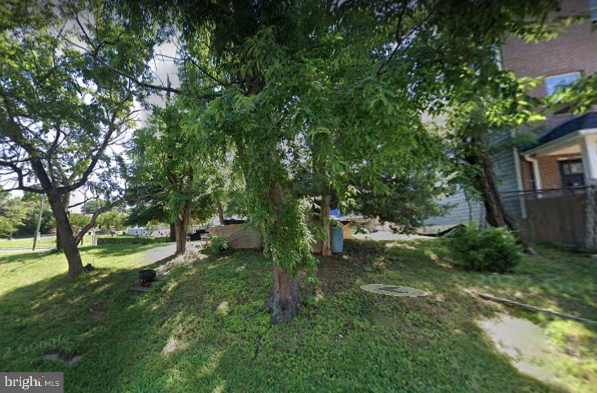 51st Street Northeast Washington, DC 20019 - Photo 4 of 7 a view of yard with green space