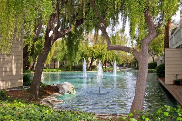 a view of a yard with a tree