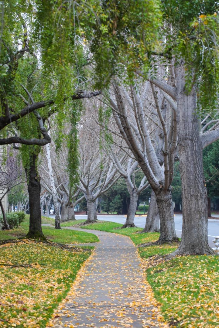 905 West Middlefield Road, Unit 917 Mountain View, CA 94043 - Photo 22 of 26