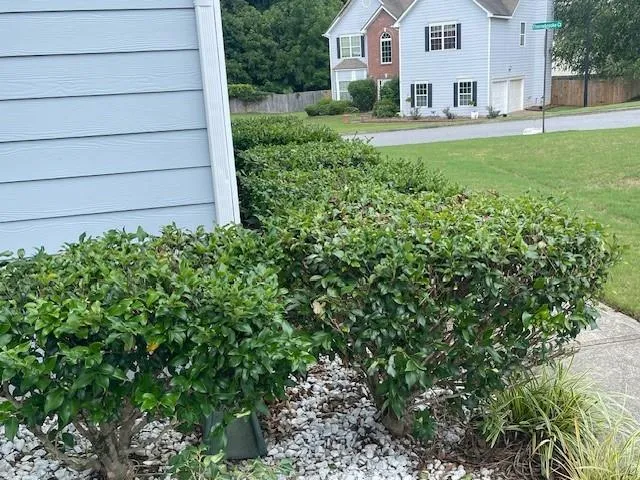 a view of house with yard