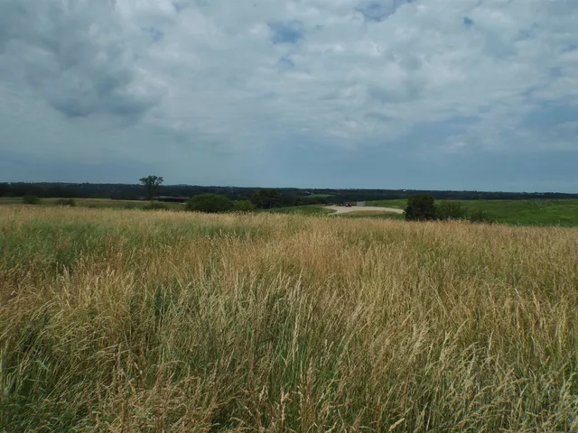 a view of an ocean beach
