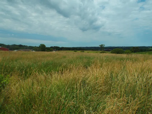 a view of an ocean and beach