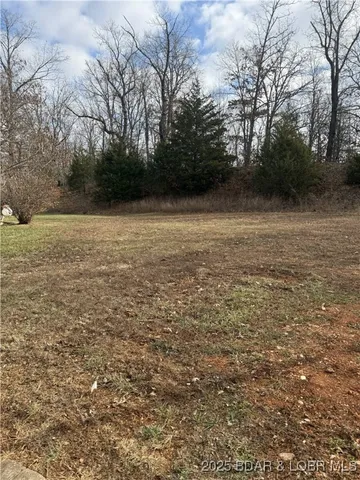 $9,000 | Lot 23 Evergreen Court, Gravois Mills, MO 65037