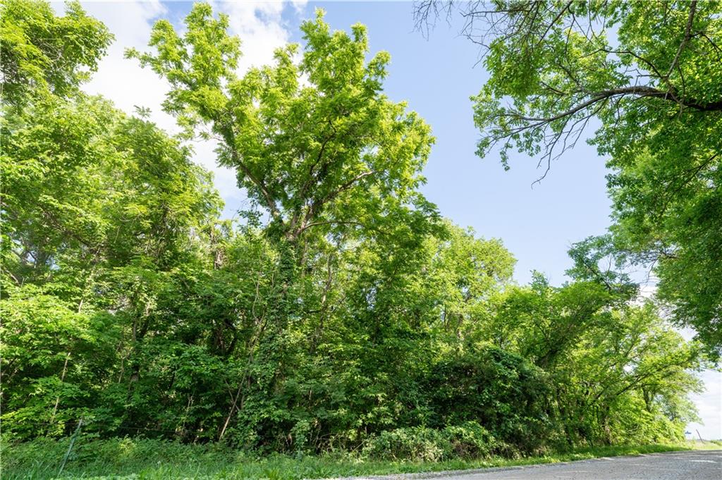 1705 Pawnee Road Pomona, KS 66076 - Photo 14 of 17