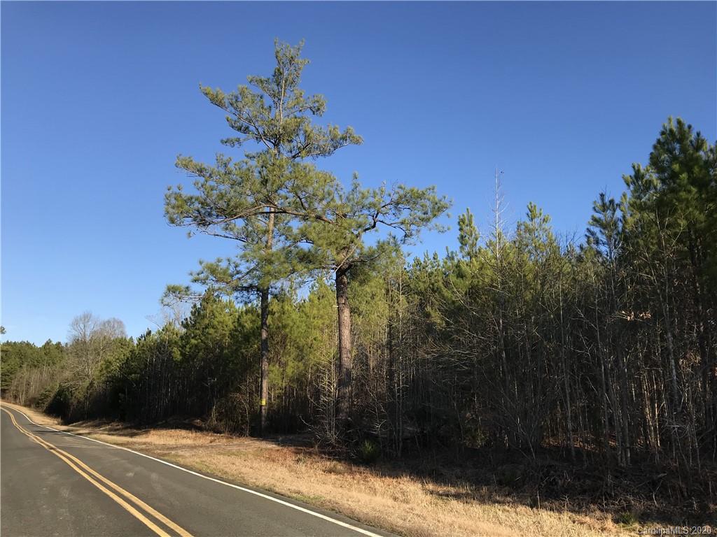 42.01 Ridgepath Road Polkton, NC 28135 - Photo 1 of 6