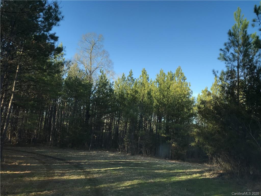 42.01 Ridgepath Road Polkton, NC 28135 - Photo 2 of 6