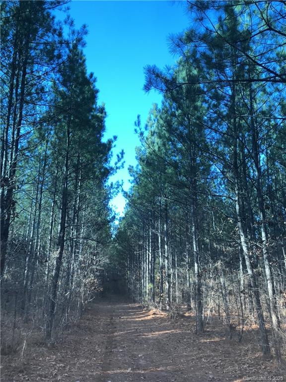 42.01 Ridgepath Road Polkton, NC 28135 - Photo 3 of 6