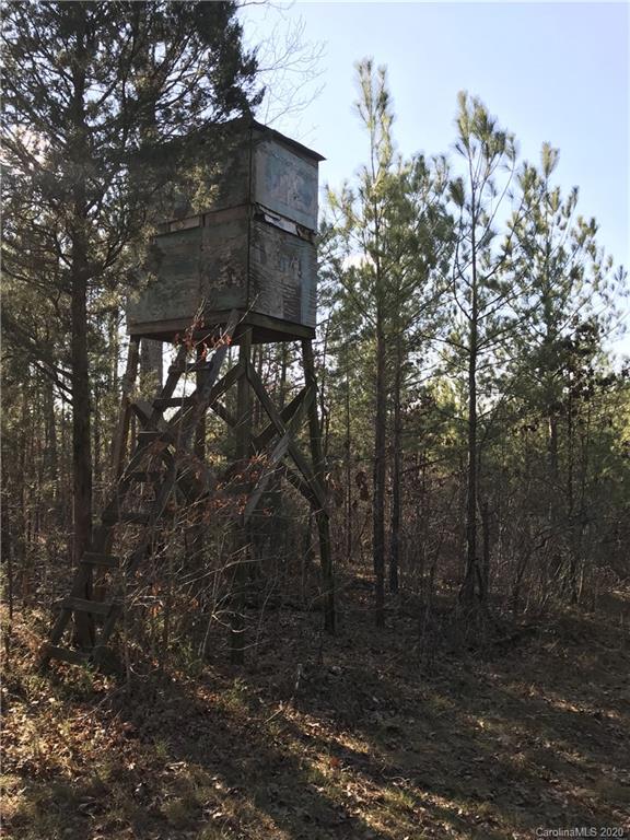 42.01 Ridgepath Road Polkton, NC 28135 - Photo 4 of 6