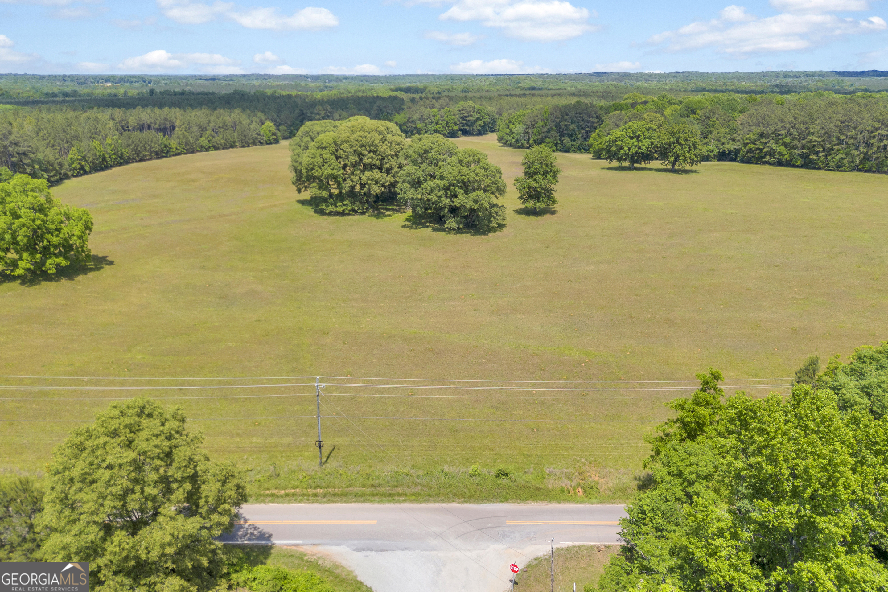 0 Pitts Chapel Road Monticello, GA 31064 - Photo 22 of 22