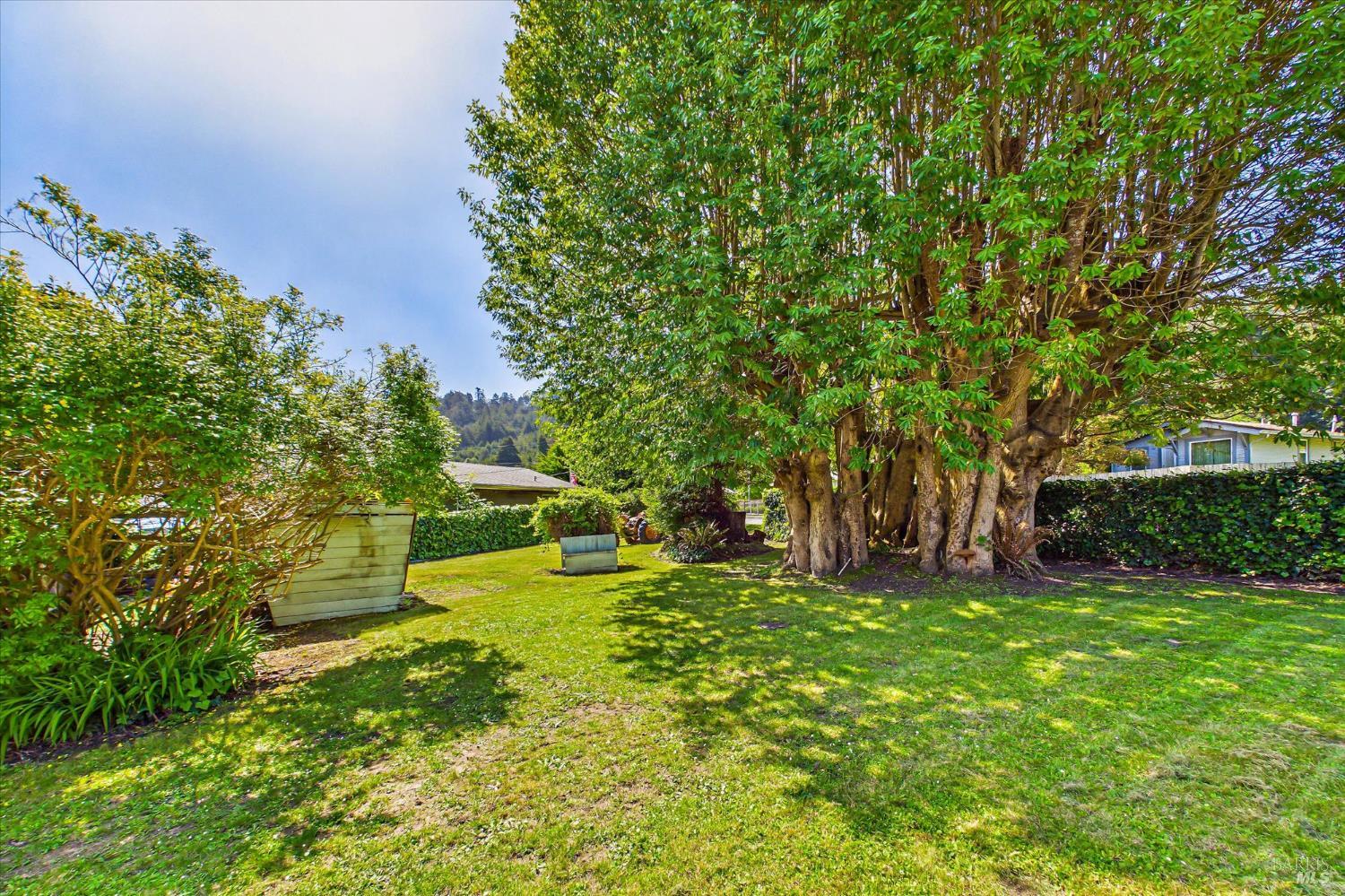 305 Belleview Avenue Rio Dell, CA 95562 - Photo 70 of 76