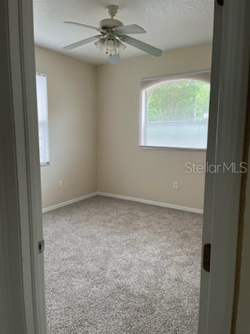 6103 Georgia New Port New Port Richey, FL 34653 - Photo 15 of 18