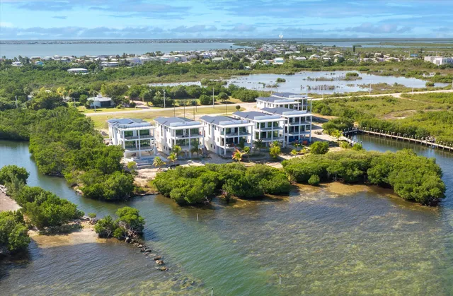 an aerial view of residential houses with outdoor space and ocean view