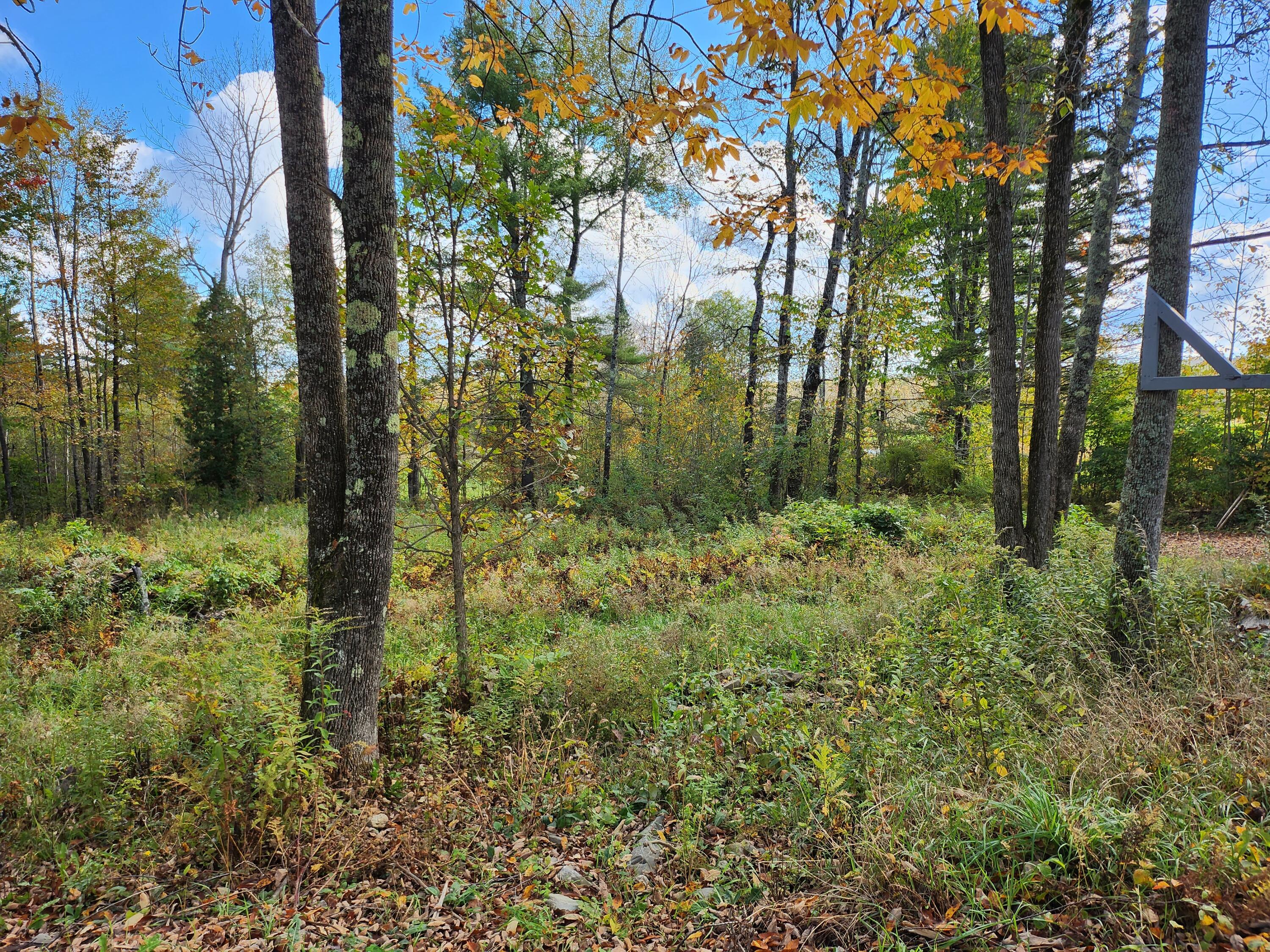 Lot 24 Rutland Road Newport, ME 04953 - Photo 3 of 8 20231009_104934