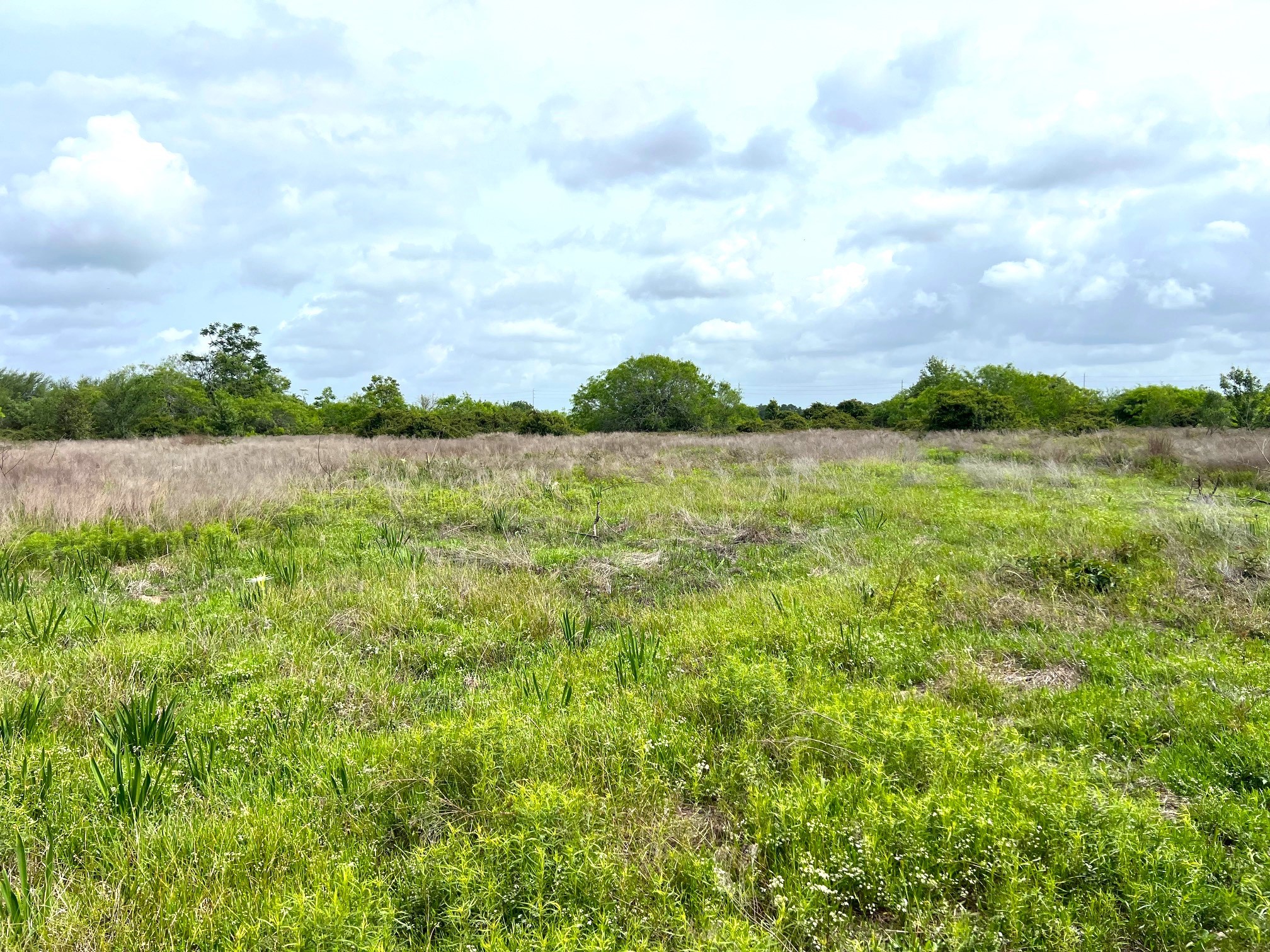 3798 Johnston Road Wallis, TX 77485 - Photo 6 of 38
