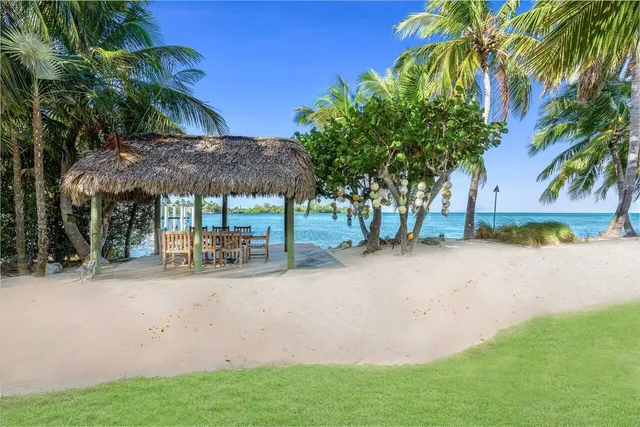 a view of a yard with plants and trees