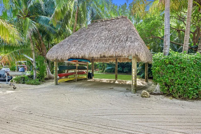 a view of a yard with a palm trees