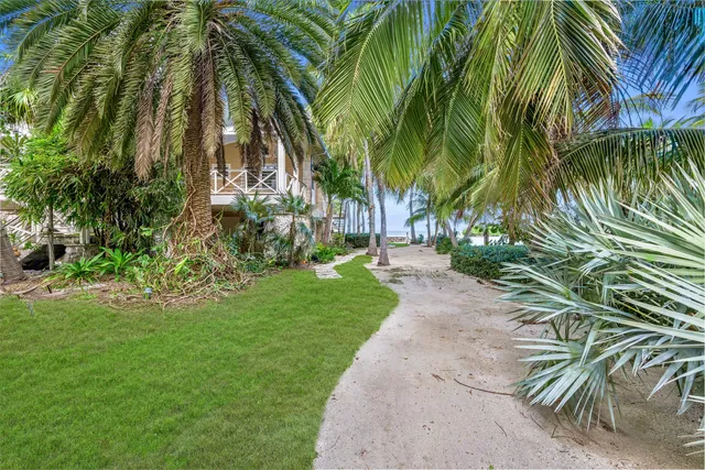 a view of a park with potted plants and large trees