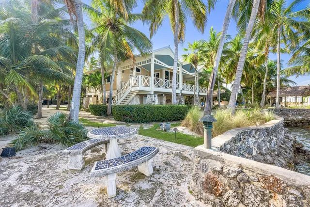a view of three palm trees