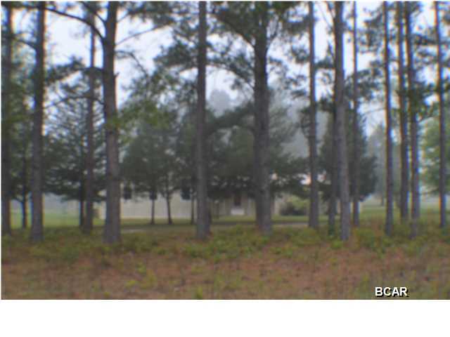 852 Hutchinson Road Chipley, FL 32428 - Photo 6 of 21 Gallery Image 6