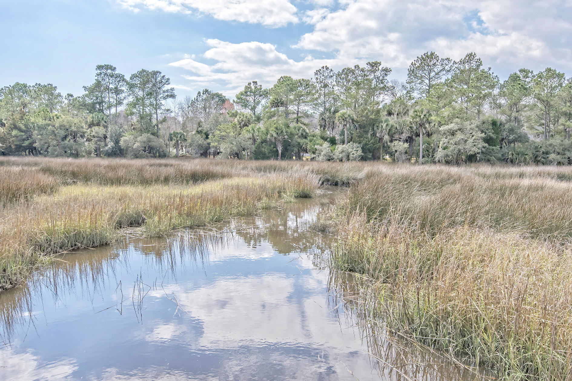 1649 Sewee Fort Road Mount Pleasant, SC 29466 - Photo 51 of 55 DSC_1561