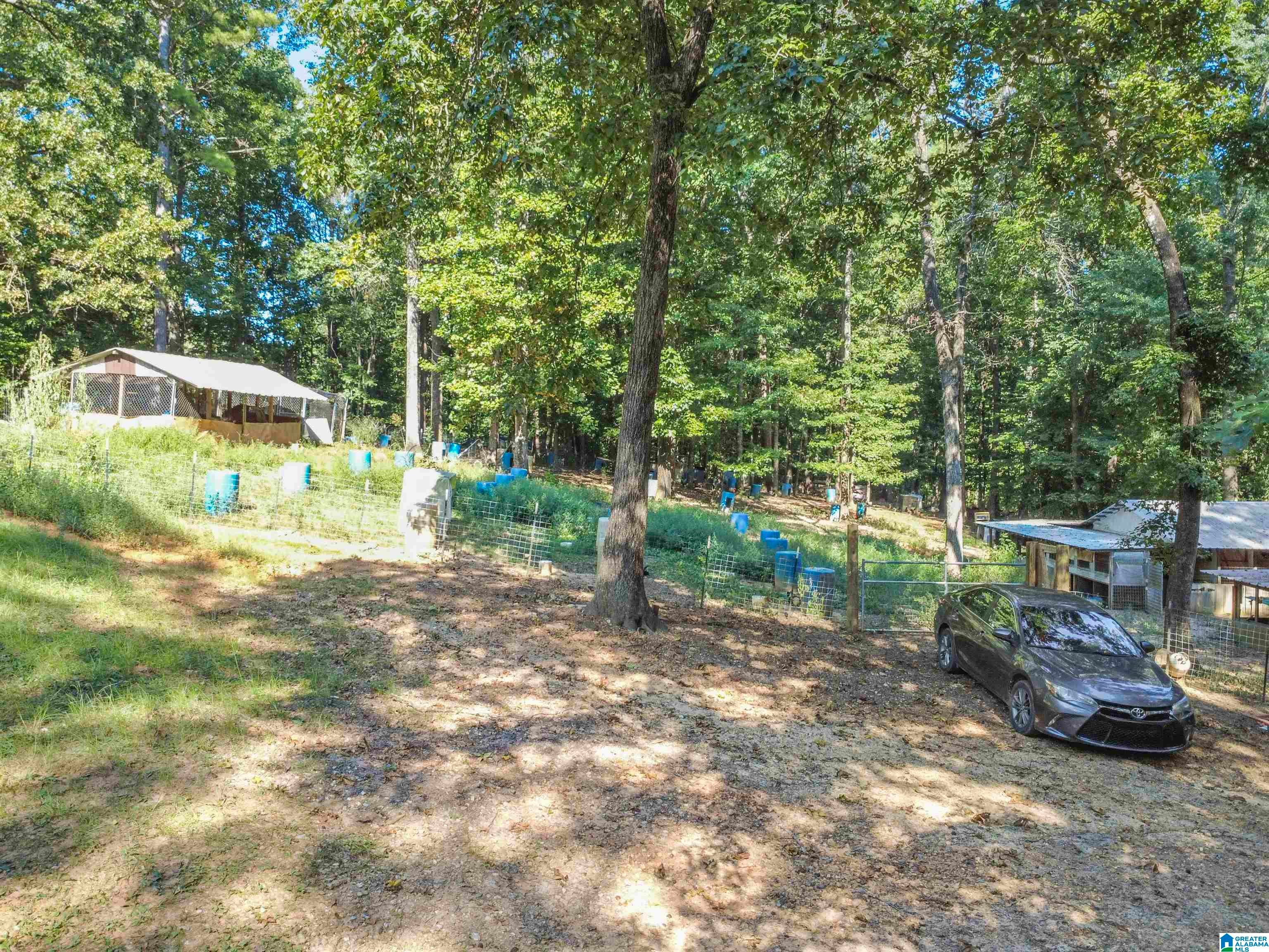 95 Lake Tate Road Sylacauga, AL 35151 - Photo 6 of 30 Gallery Image 6