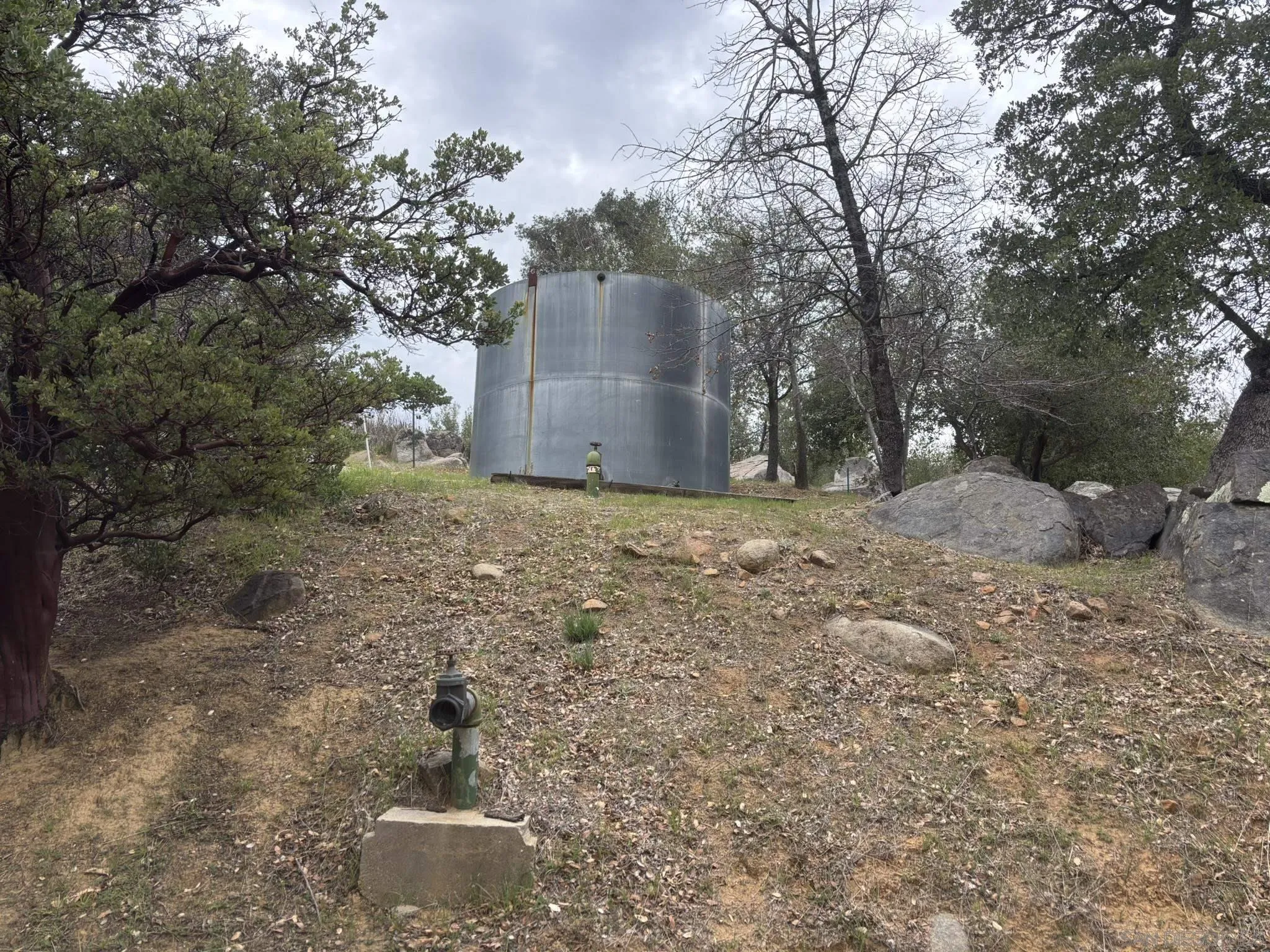 7317 Starlight Way Julian, CA 92036 - Photo 11 of 19 a backyard of a house with lots of green space