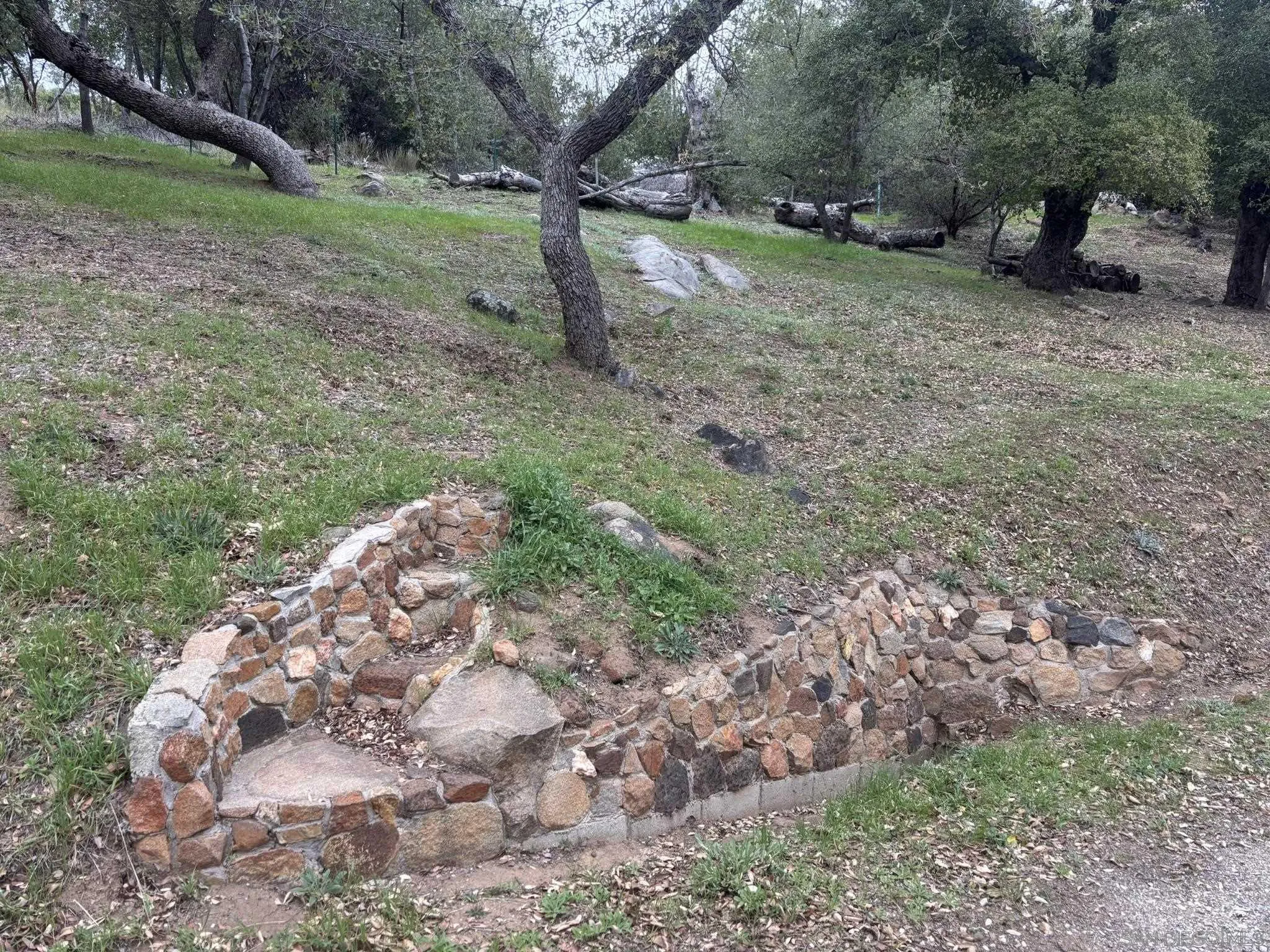 7317 Starlight Way Julian, CA 92036 - Photo 16 of 19 a view of a yard with a tree