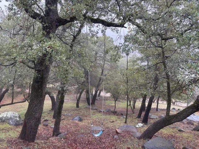 7317 Starlight Way Julian, CA 92036 - Photo 19 of 19 a view of outdoor space