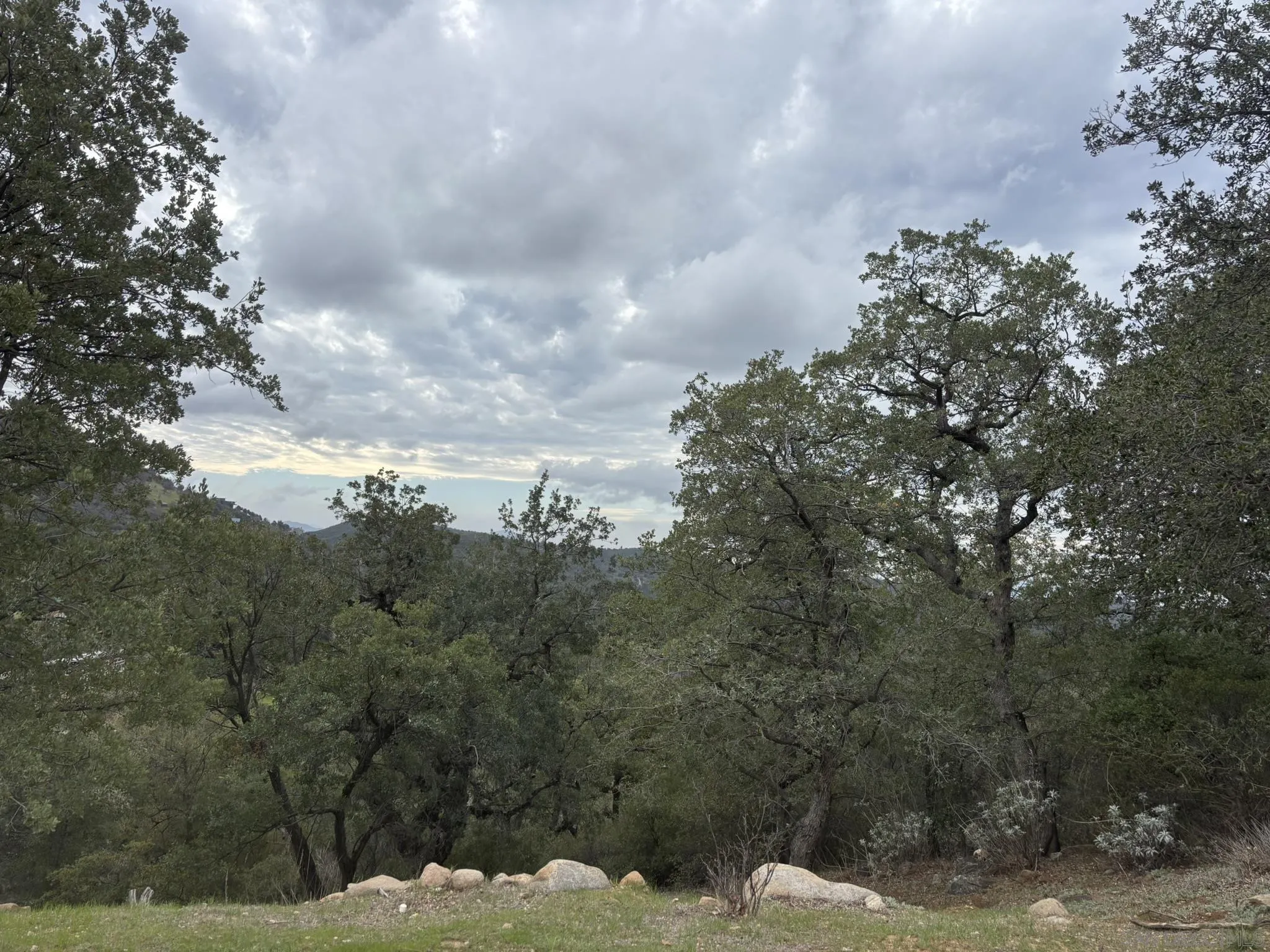 7317 Starlight Way Julian, CA 92036 - Photo 3 of 19 a view of a outdoor space