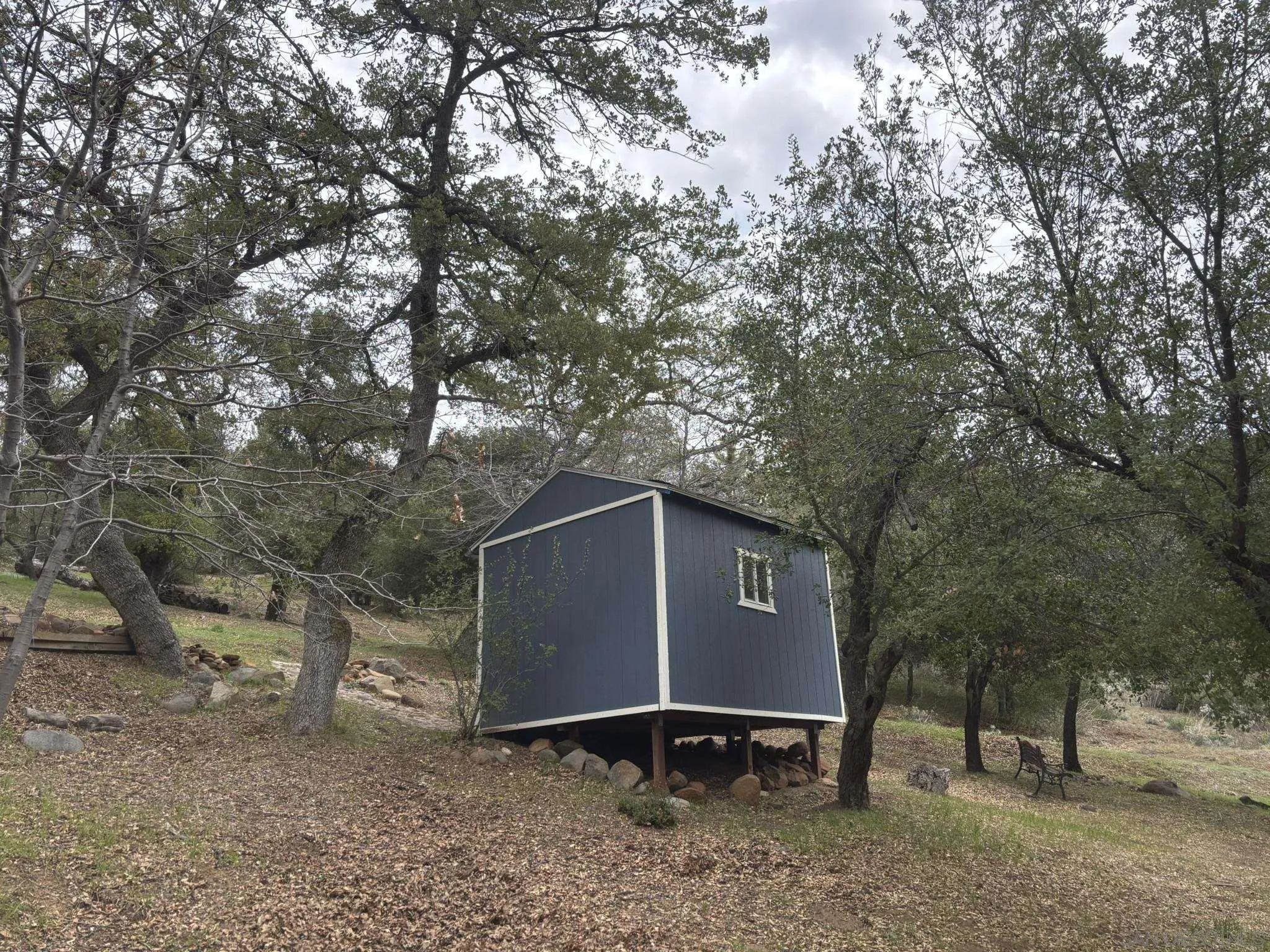 7317 Starlight Way Julian, CA 92036 - Photo 10 of 19 a backyard of a house with large trees and wooden fence