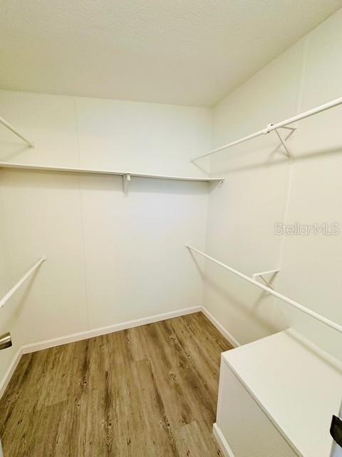 6814 Redwing Road Groveland, FL 34736 - Photo 14 of 26