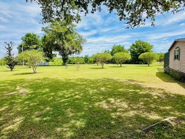 6814 Redwing Road Groveland, FL 34736 - Photo 4 of 26