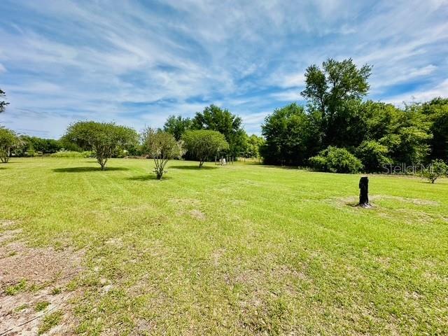 6814 Redwing Road Groveland, FL 34736 - Photo 8 of 26
