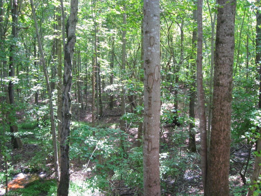 10.02-ac Worsham Mill Road Ruffin, NC 27326 - Photo 11 of 21