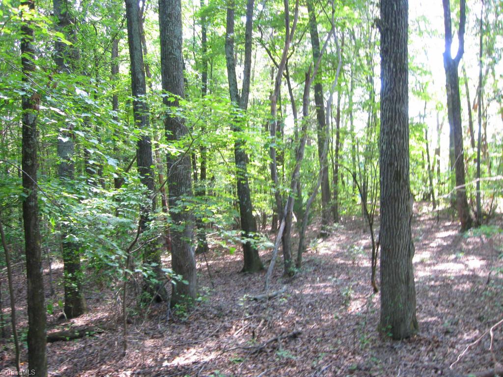 10.02-ac Worsham Mill Road Ruffin, NC 27326 - Photo 12 of 21