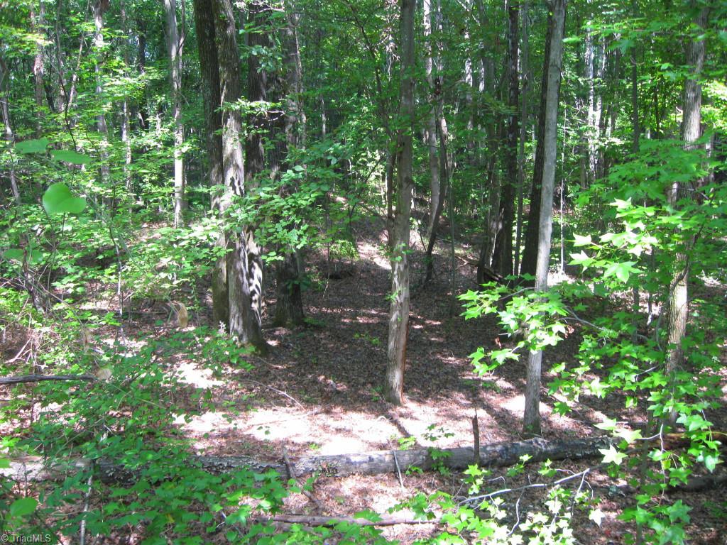 10.02-ac Worsham Mill Road Ruffin, NC 27326 - Photo 13 of 21