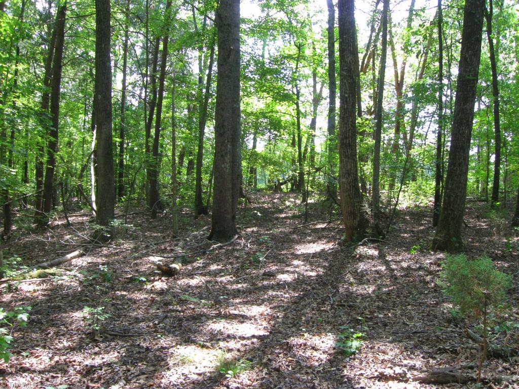 10.02-ac Worsham Mill Road Ruffin, NC 27326 - Photo 14 of 21